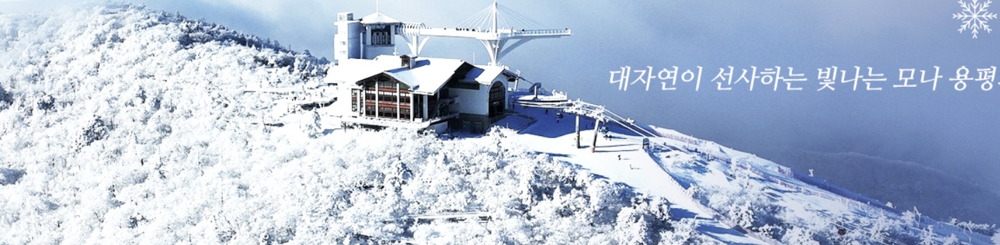 용평리조트 홈페이지