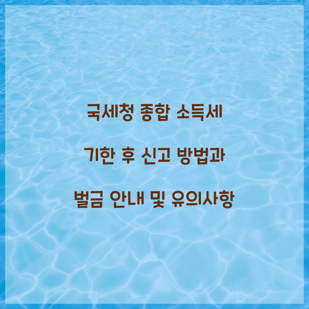 국세청 종합 소득세 기한 후 신고 방법과 벌금