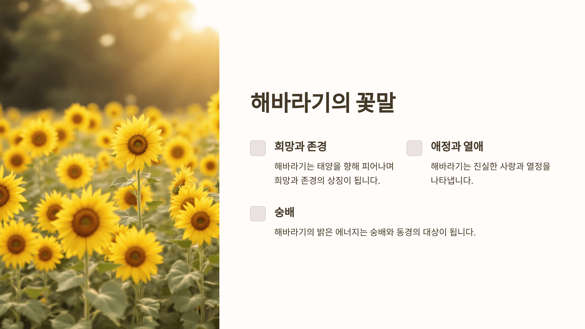 해바라기 사진입니다.