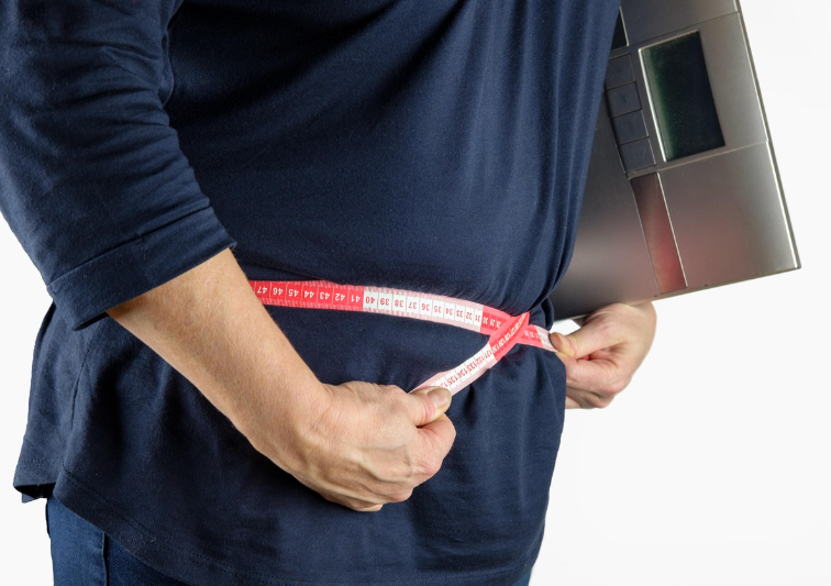 내장지방 배 사이즈를 재는 사진