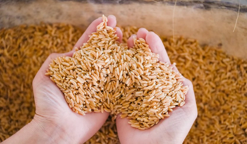 카무트 효소 효능