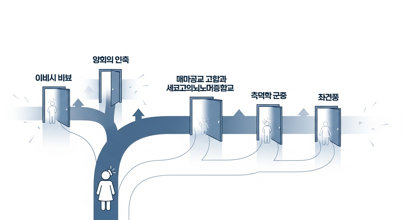 다양한 대학 진학 경로를 보여주는 그래픽, 5등급 학생들의 선택지를 상징합니다.