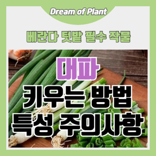 대파 키우는 방법 썸네일 이미지