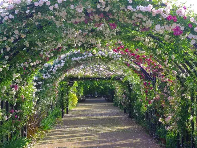 요코하마 잉글리시 가든