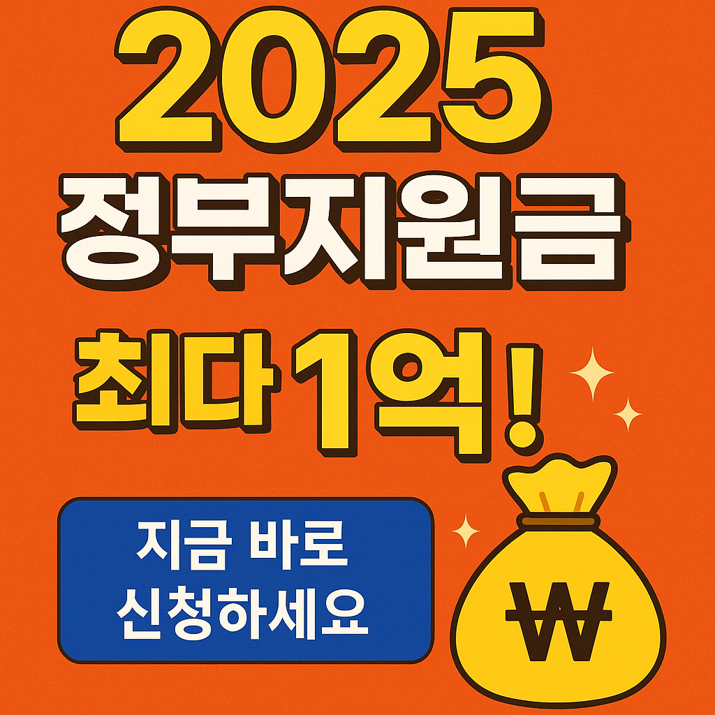 2025년 정부 지원금