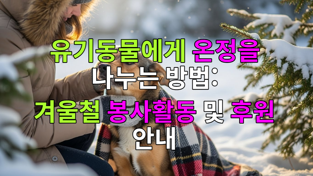 눈 내리는 겨울, 따뜻한 담요를 덮고 있는 유기견을 다정하게 쓰다듬는 사람의 손길