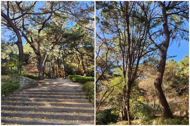 금강공원 사진