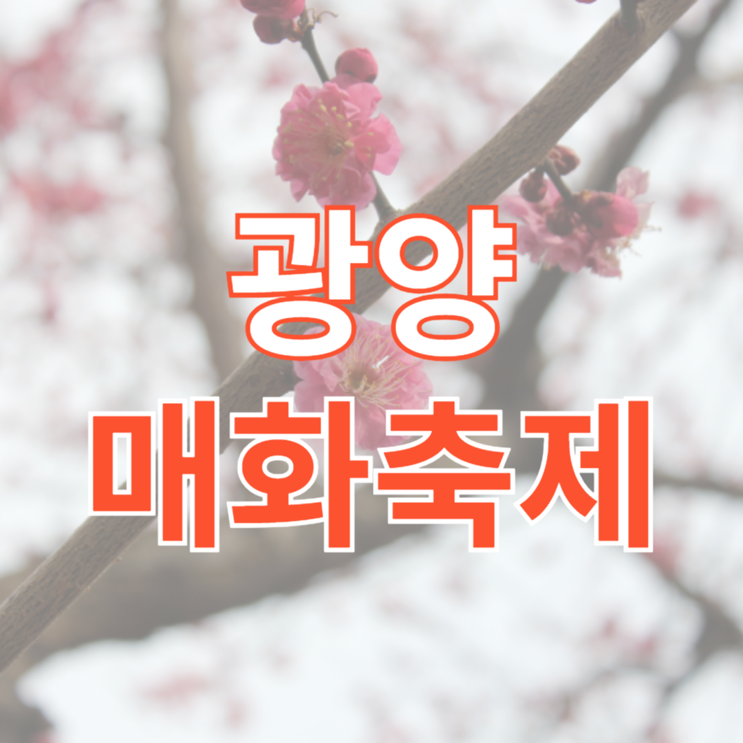 광양매화축제