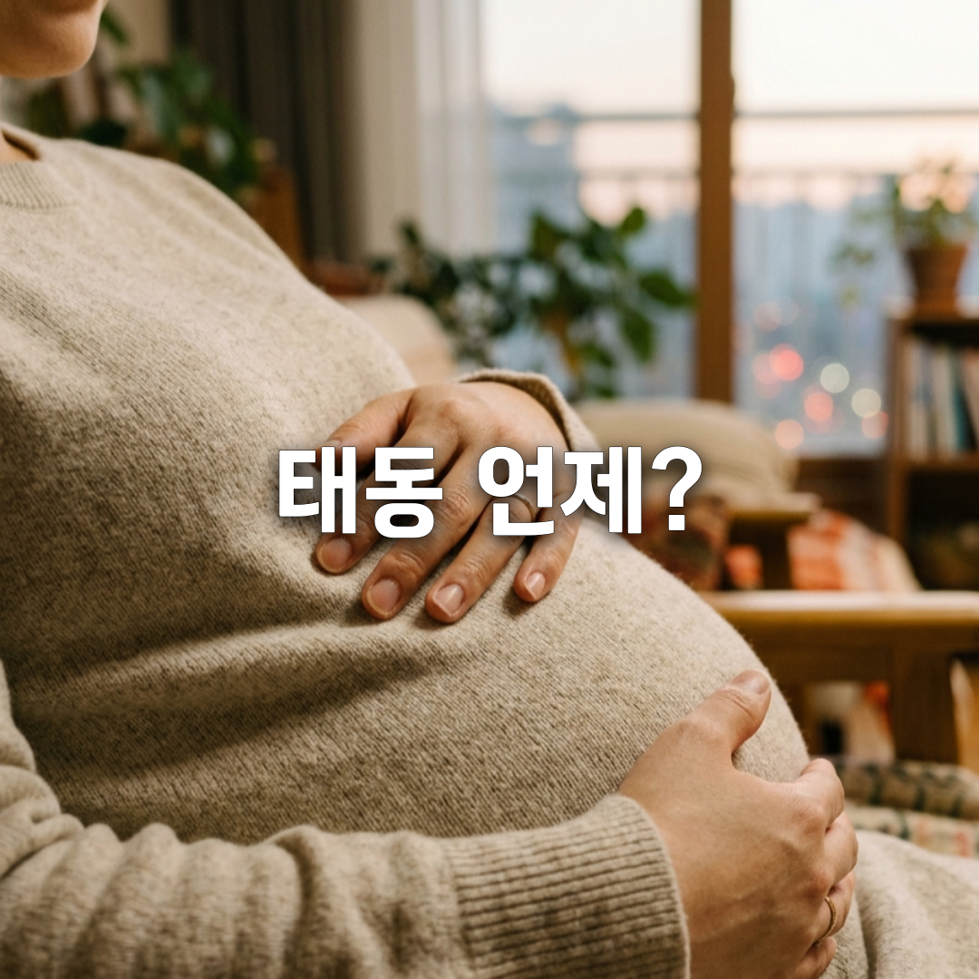 태동 언제 느껴질까 임신 주수별 첫 느낌 완벽 정리🤰