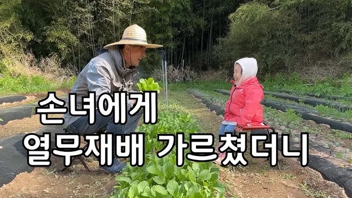열무 재배 빠른 파종 잔털 제거 혼식 요령_8