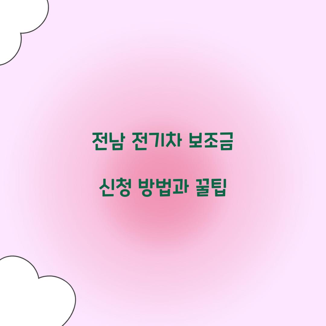 전남 전기차 보조금