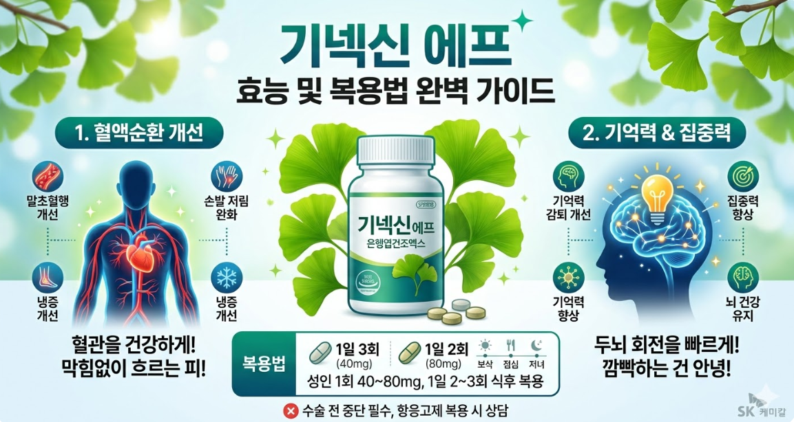 기넥신 에프 효능, 올바른 복용법, 주의해야 할 부작용 알아보기