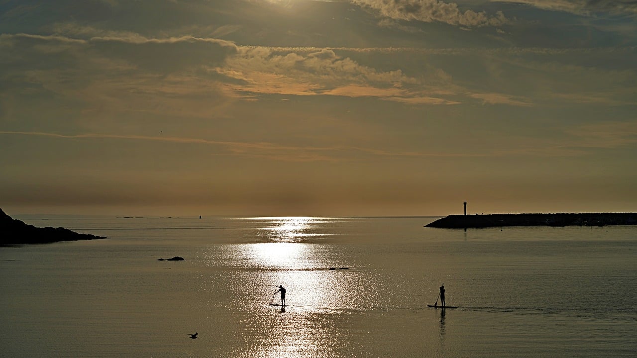 뉴칼레도니아뜸부기, 선박 입항하여 우연한 호기심의 시작