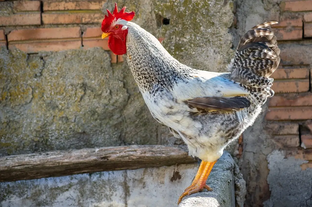 2025년 농업경영체등록확인서 발급, 어렵지 않아요