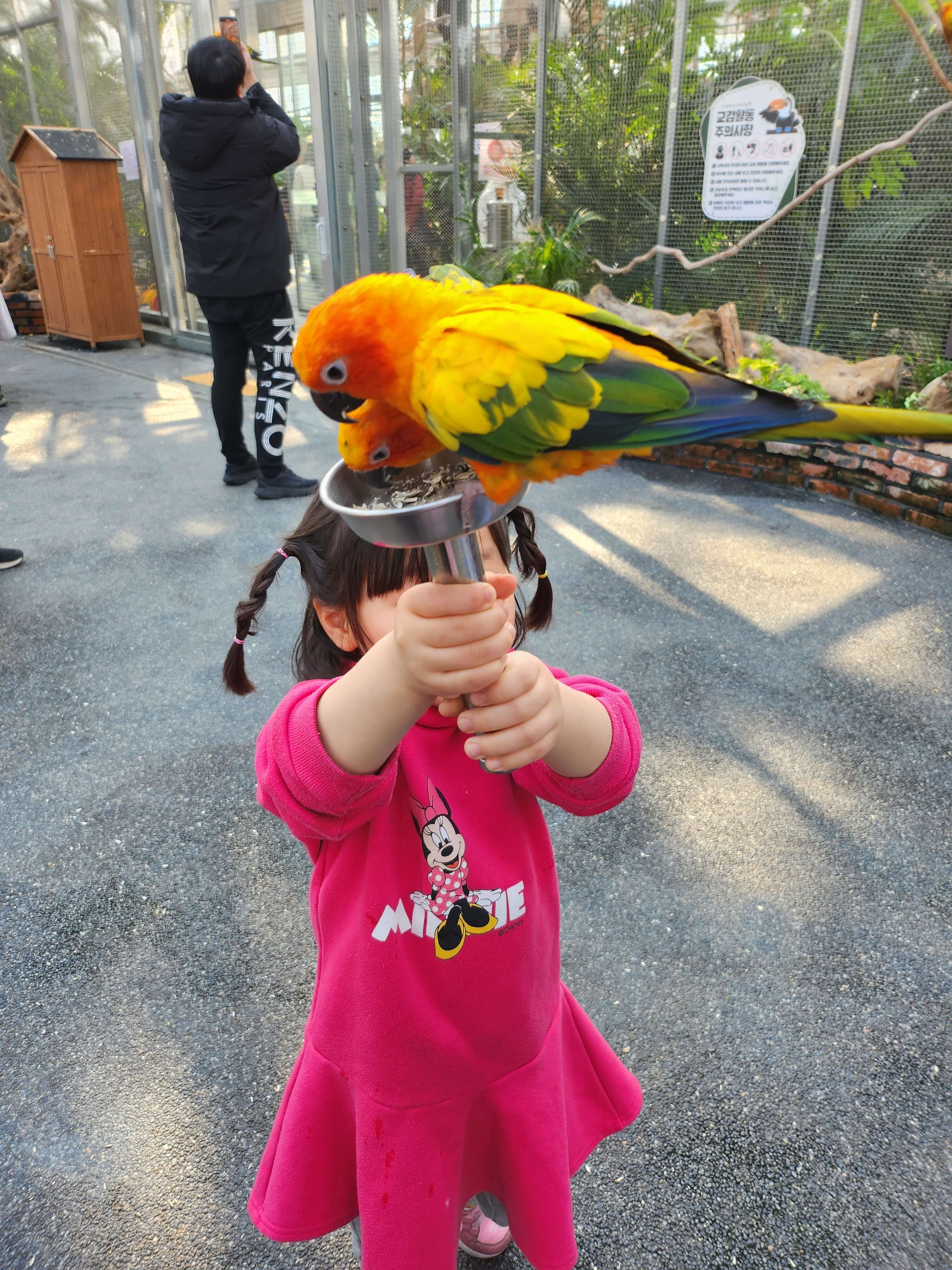 가평 베고니아 정원