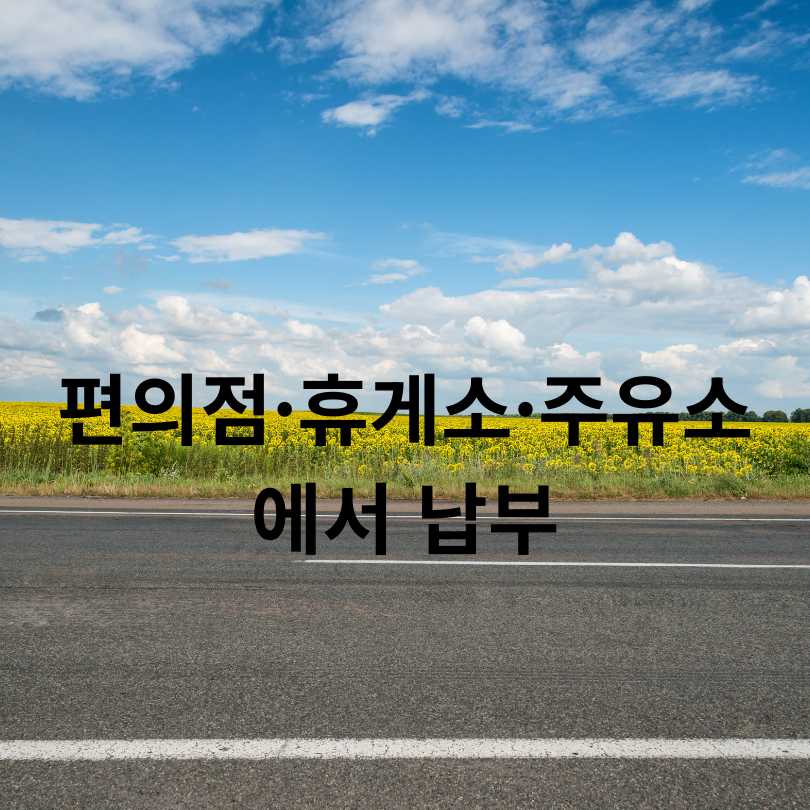 고속도로 하이패스 미납요금 납부방법 총정리!