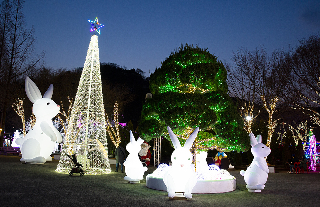 청도 프로방스 빛축제ㅣ물놀이장ㅣ동물체험ㅣ입장료ㅣ반려동물 정보