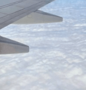 공동구매 항공권 하나투어 예약 및 취소