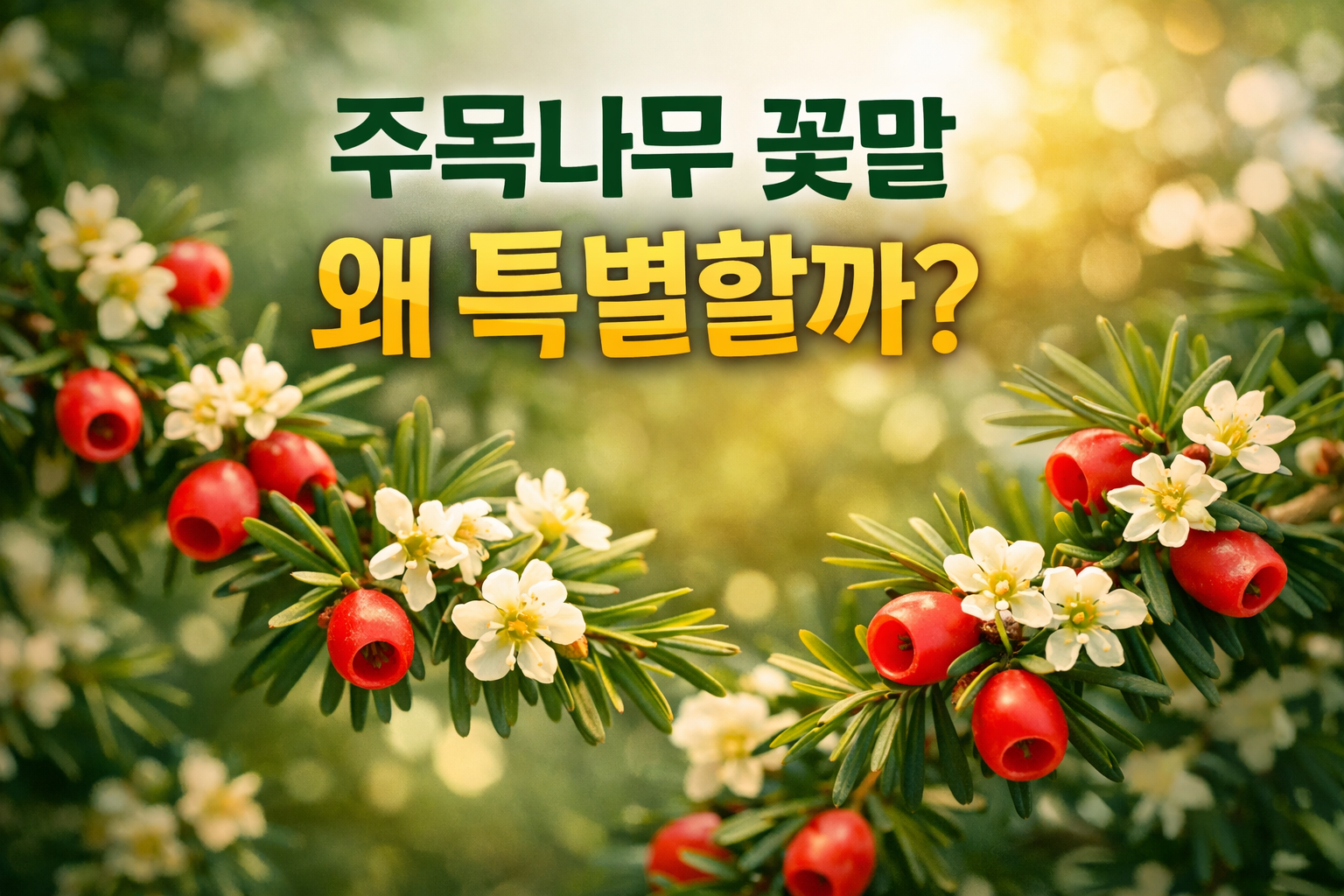 주목나무 꽃말