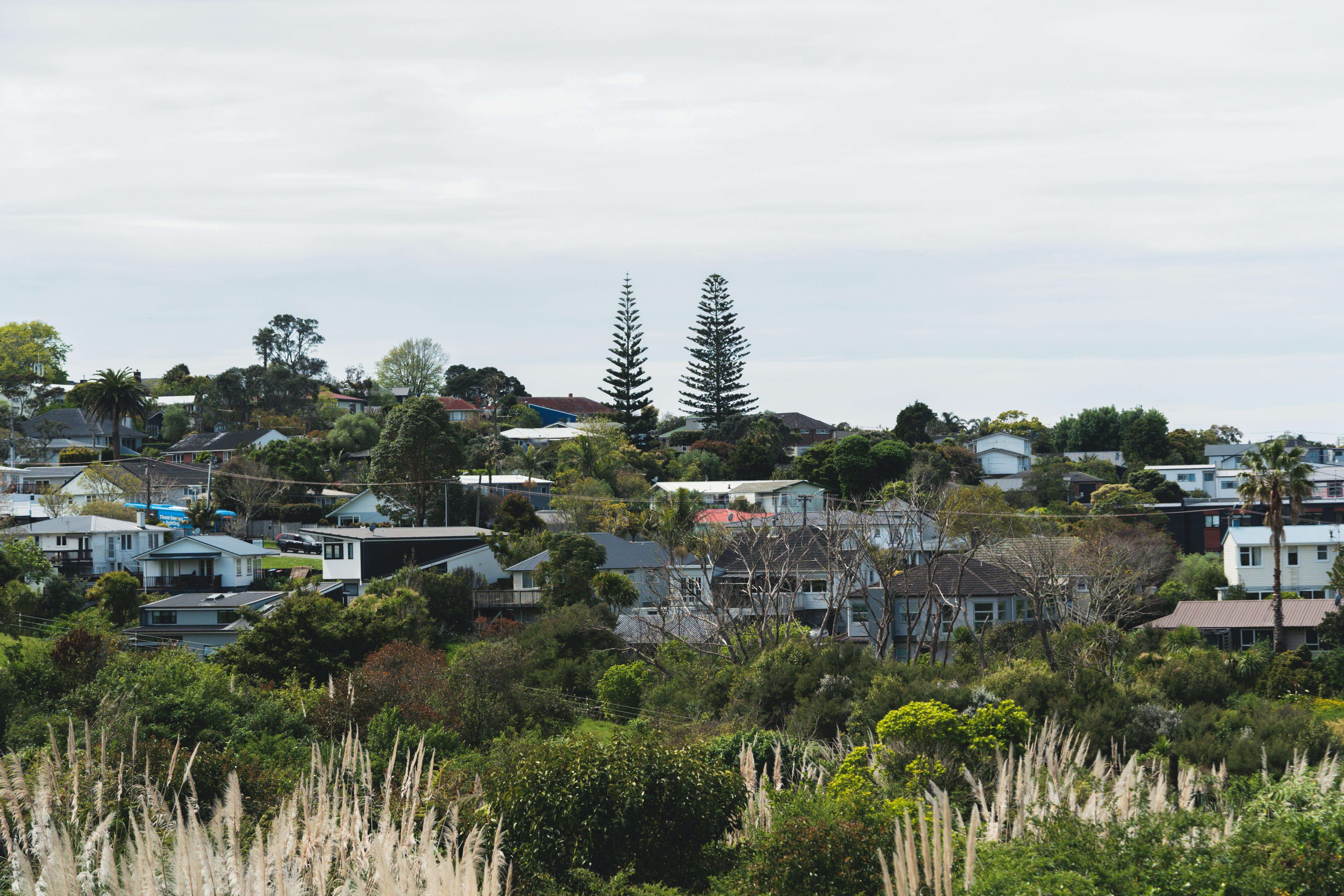 뉴질랜드에서 집구하기