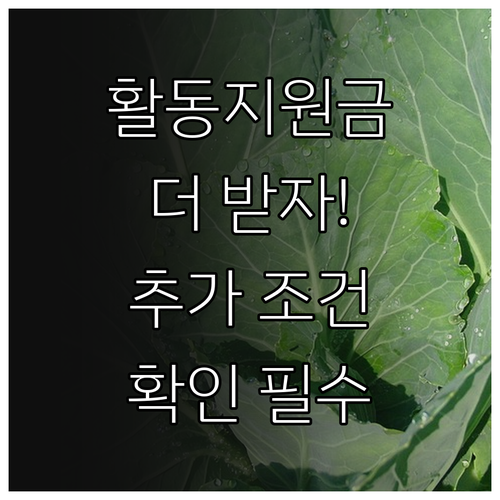 2025 안산시 장애인 활동지원(추가..