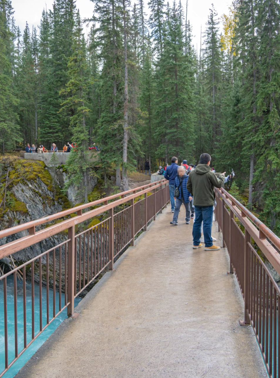 캐나다 밴프 네츄럴 브릿지