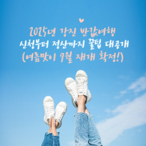 2025년 강진 반값여행 신청 내용입니다.