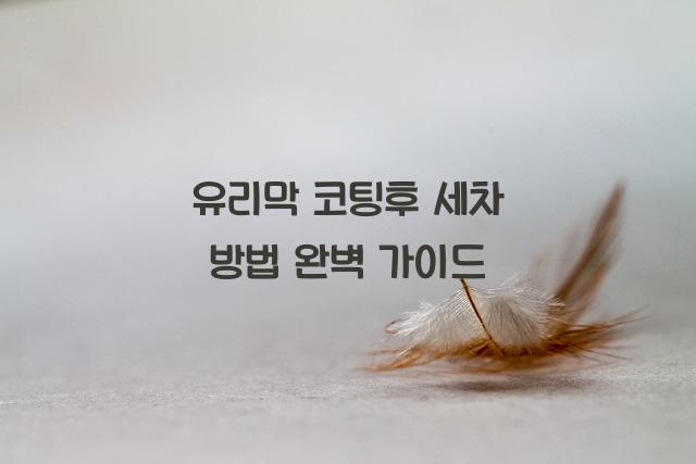 유리막 코팅후 세차 방법