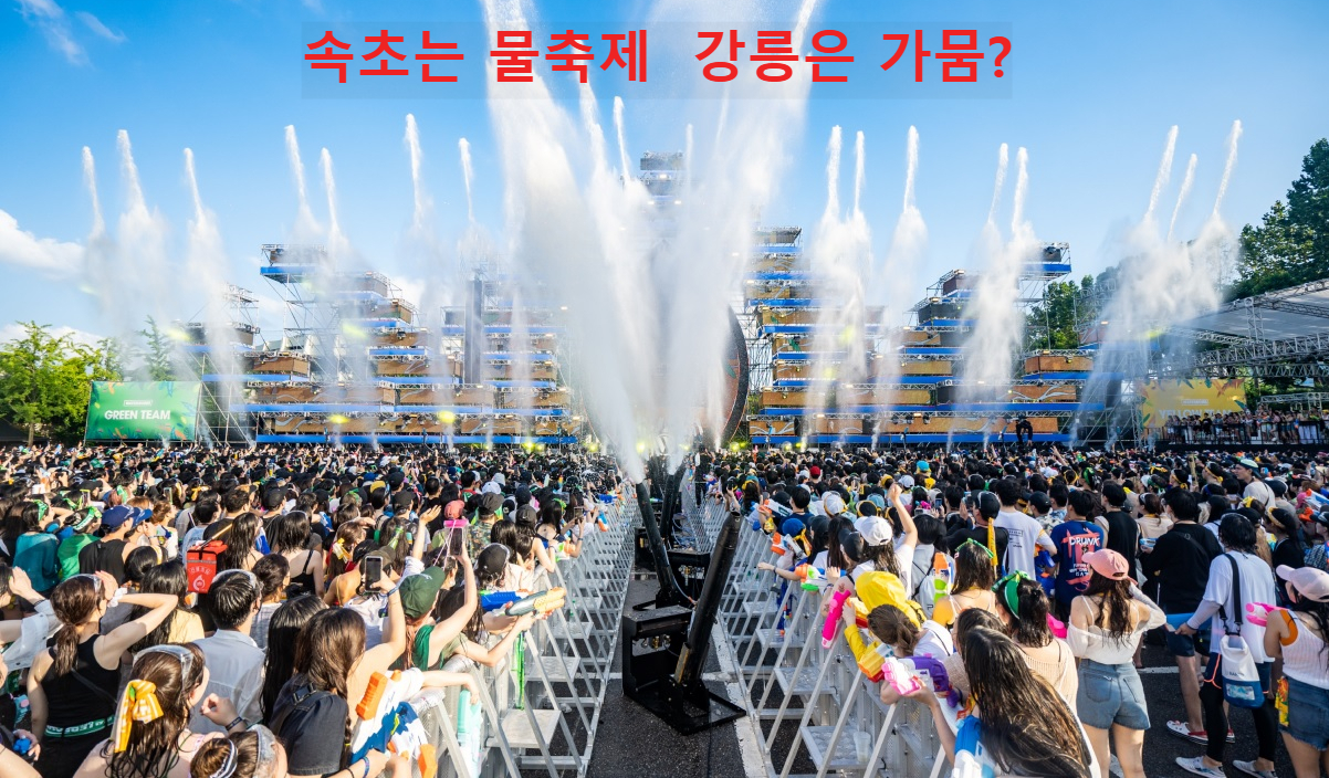 속초 물축제