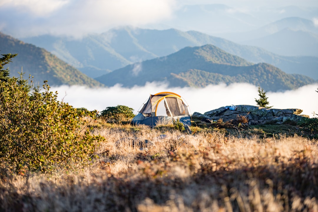 Campsite