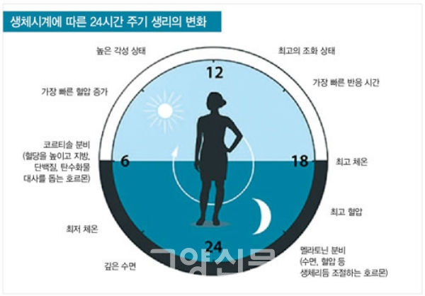 고지혈증 관리&amp;#44; 몇 달마다 수치가 다시 올라가는 이유