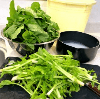 열무 물김치 담그는법 (맛있게 담는법) 알아보기