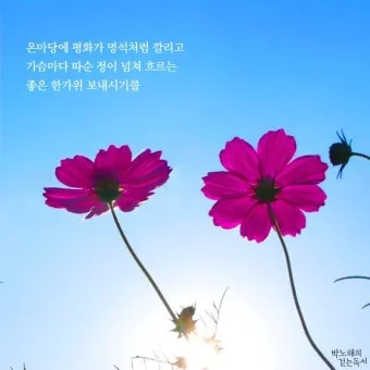 명언 인사말 예시 모음 카톡_3