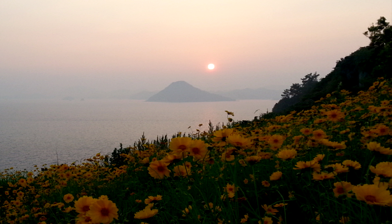 고흥 힐링파크 쑥섬쑥섬