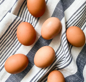 알부민 많은 음식