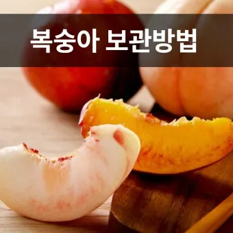 복숭아 보관방법과 싱싱하게 유지하는 팁_3