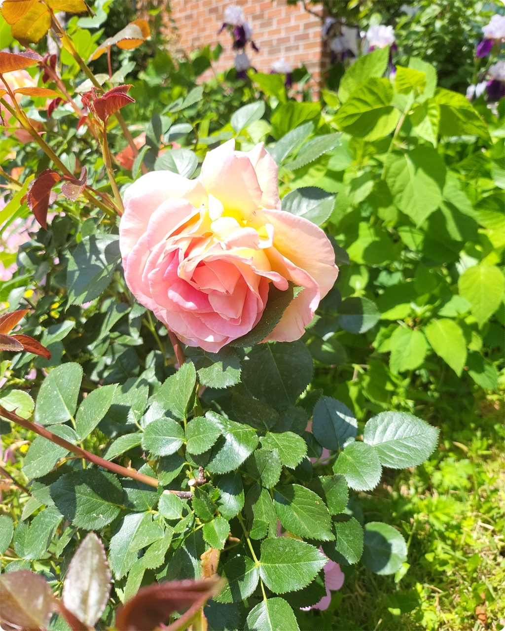 위에서 찍어 봤어요~