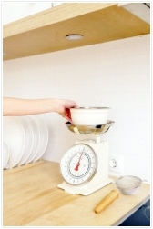 강아지 다이어트하는법