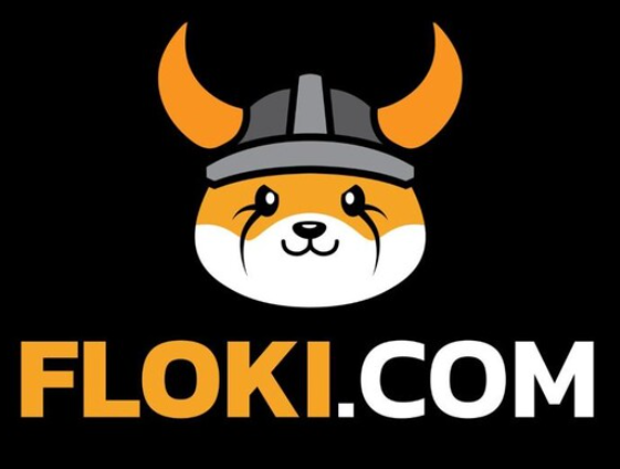플로키(Floki) 코인 시세 전망: 2030년까지 들고간다면?
