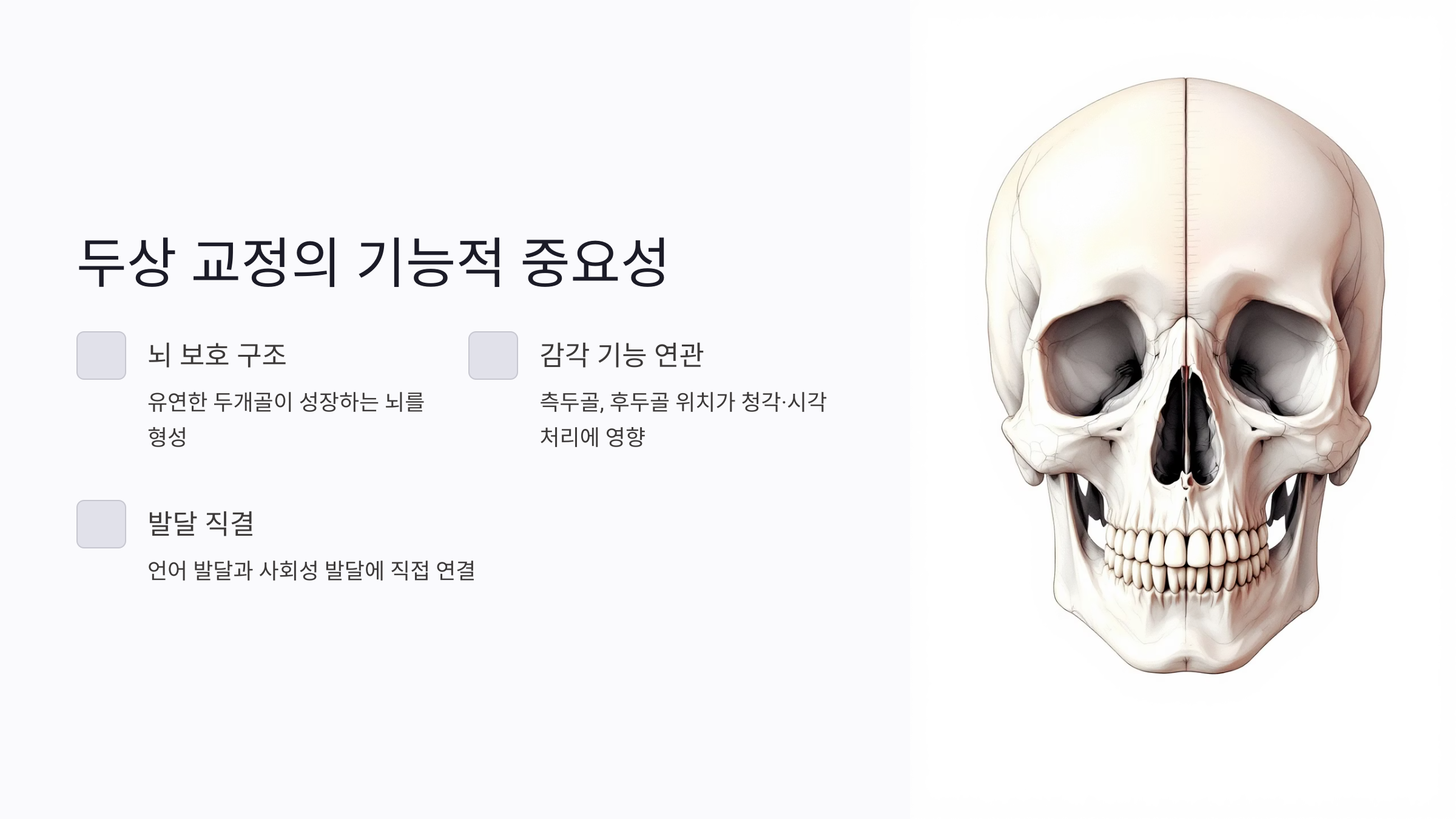 미용 목적 두상 교정과 기능 중심 교정은 어떻게 다를까?