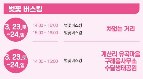 구례-300리-벚꽃축제