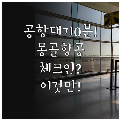 공항 대기 없이 몽골항공 체크인하는 ..