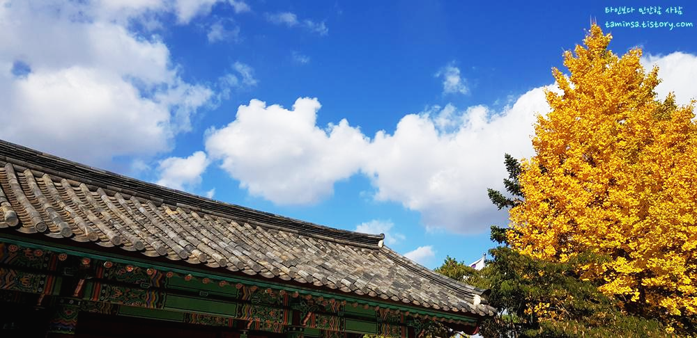 단풍명소