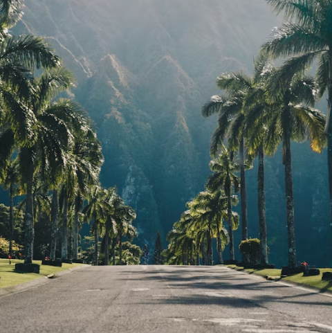 하와이 여행 추천 일정 – 4박5일 렌트카 여행 코스