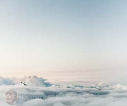 국민연금 유족연금 수령조건 국민연금 유족연금비율 수령액