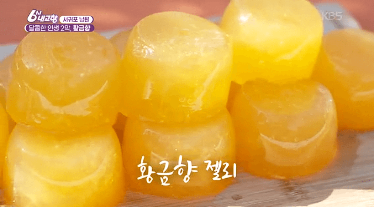 제주 황금향 &amp;#39;자파리감귤체험농장&amp;#39; 농장체험 판매 택배 정보