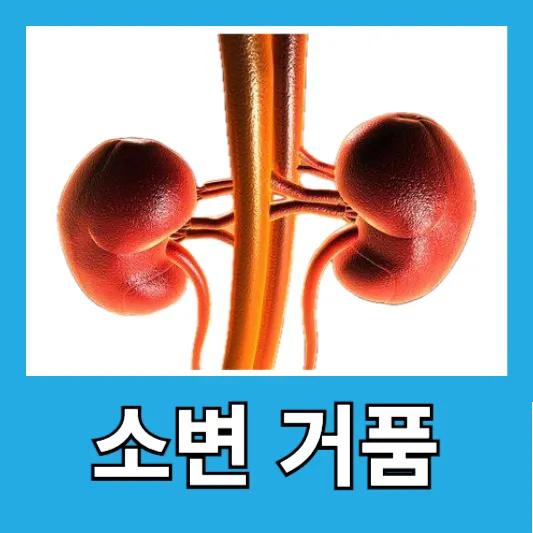 "신장 기능 장애 초기 경고 소변 거품"