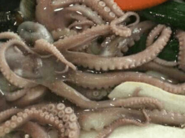 생생 정보통 맛집오늘방송 산낚지볶음