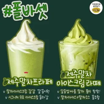 말차와 녹차의 차이점 효능 맛 비교 총정리_9