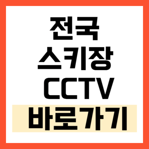실시간 CCTV